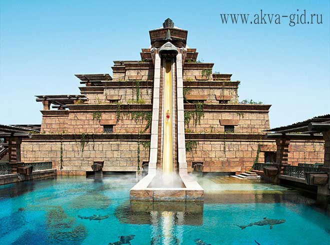 водные горки с акулами