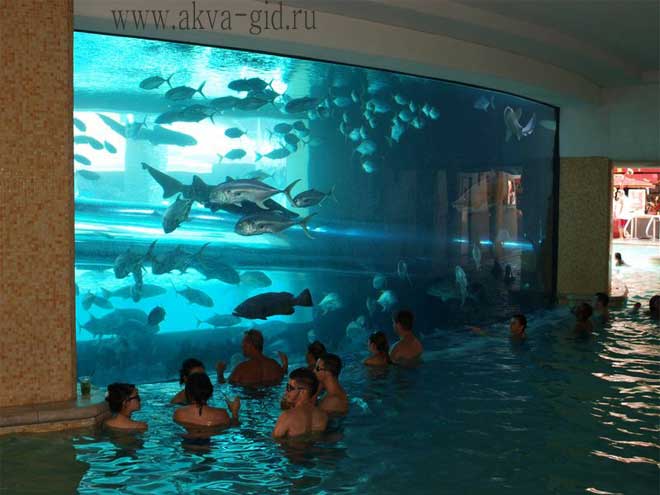 водные горки с акулами
